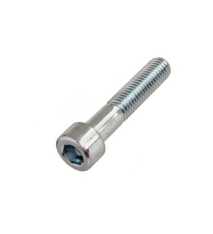 VITE T.C.E.I. M6X40 ZINCATA BIANCA