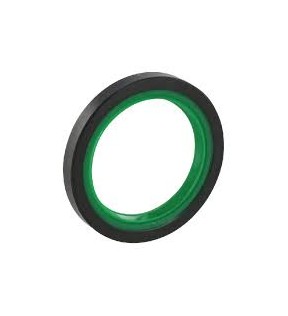 ANELLO TENUTA 18X24X3