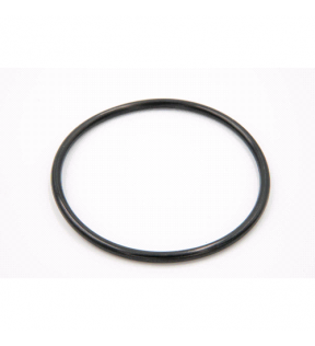 ANELLO O-RING POMPA CARBURANTE