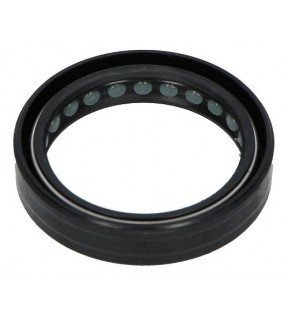 FORK SEAL Ø43x54x11 GUZZI-APRILIA-DUCATI